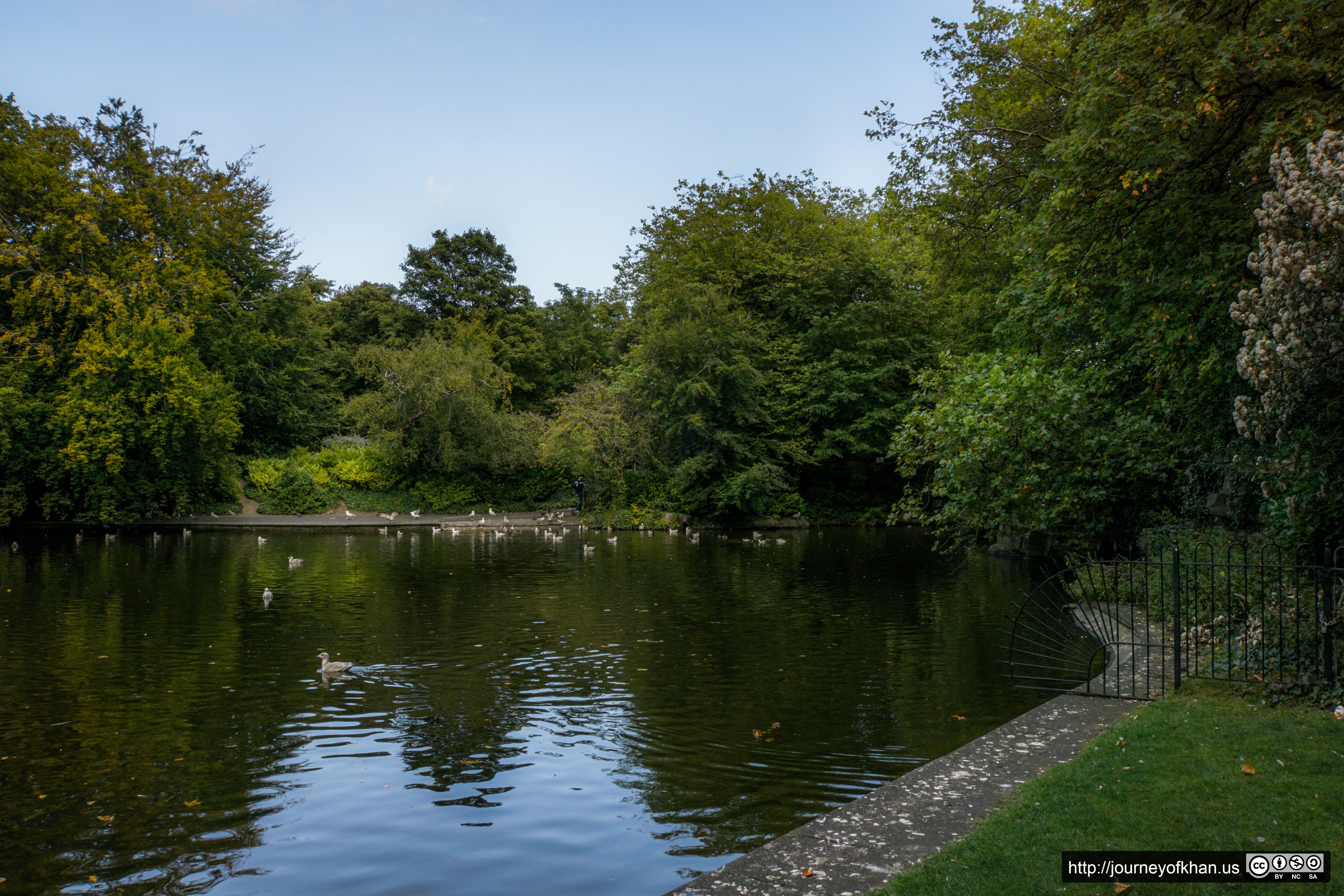 Afternoon by a Shallow Pond (High Resolution)