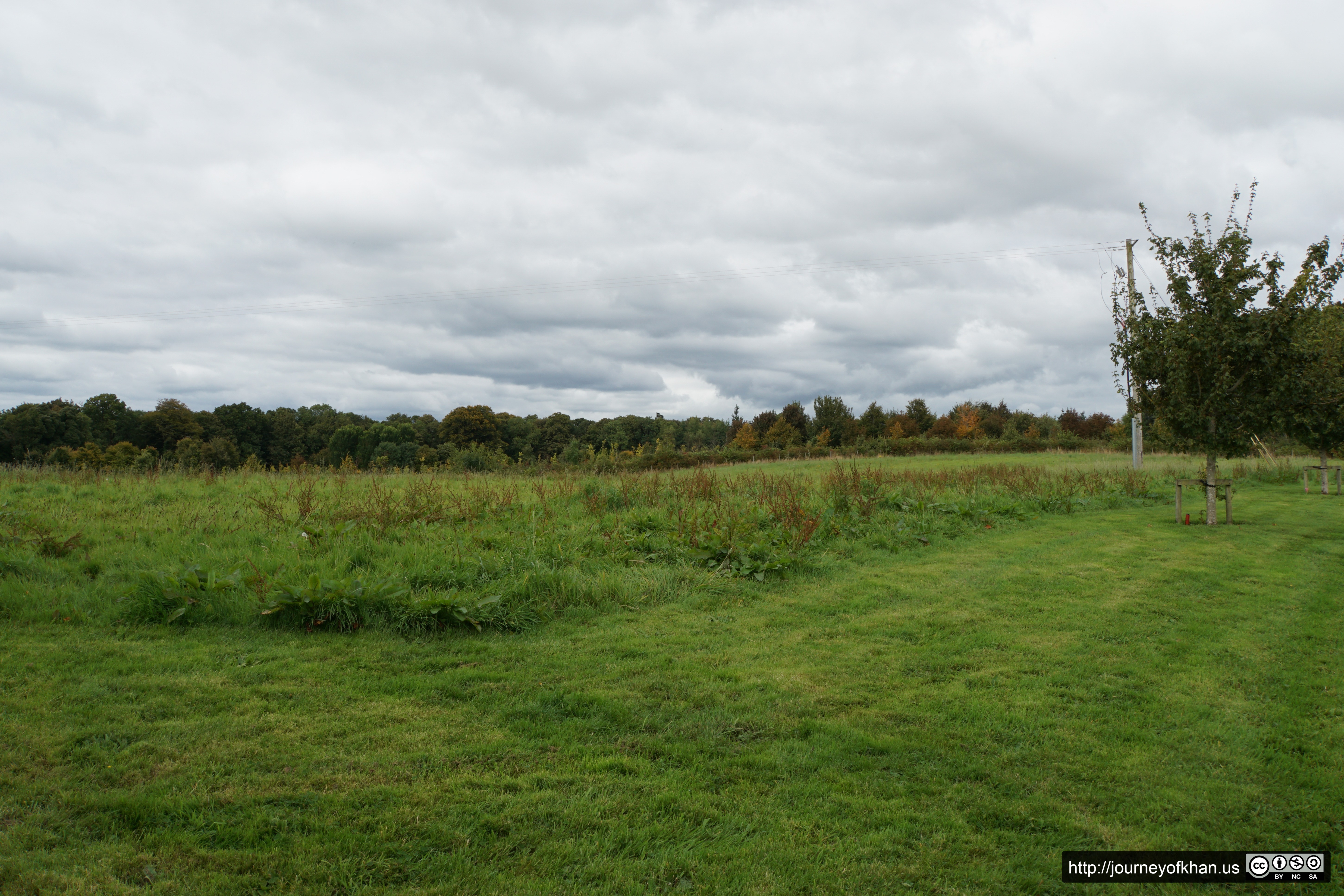 Green Field in Fota Park (High Resolution)