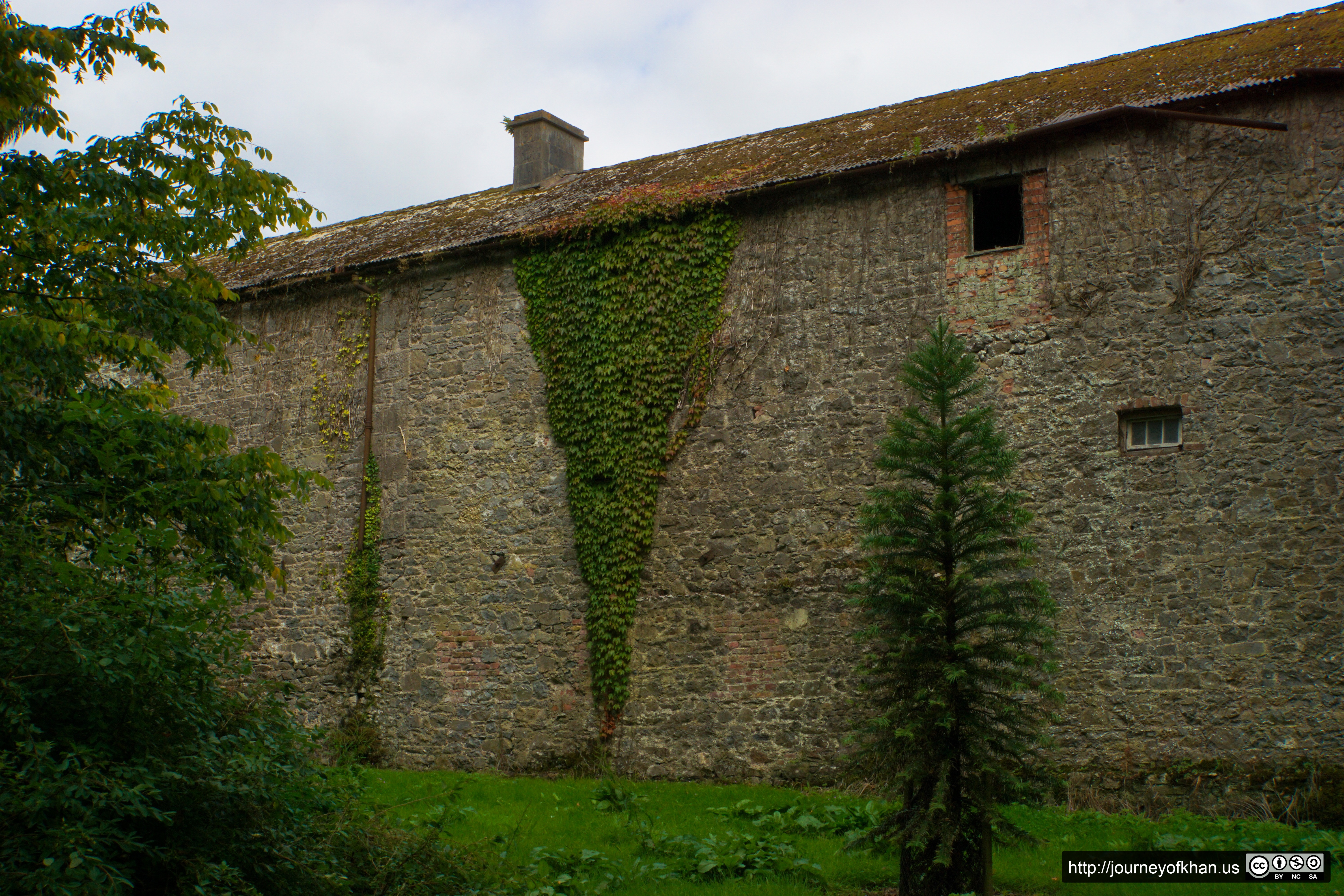 Ivy on the Walls of Fota House (High Resolution)