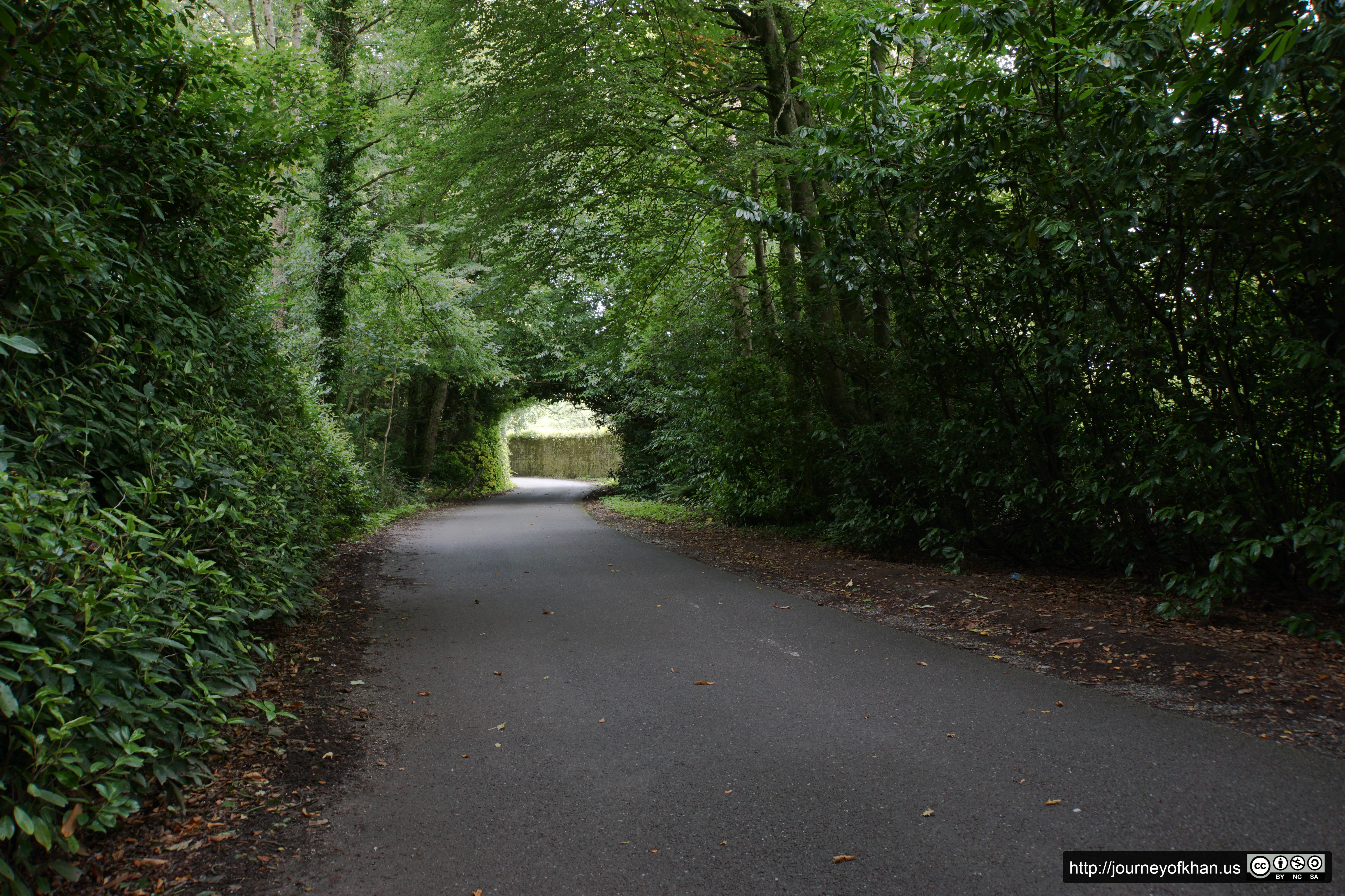 Path of Green in Fota (High Resolution)