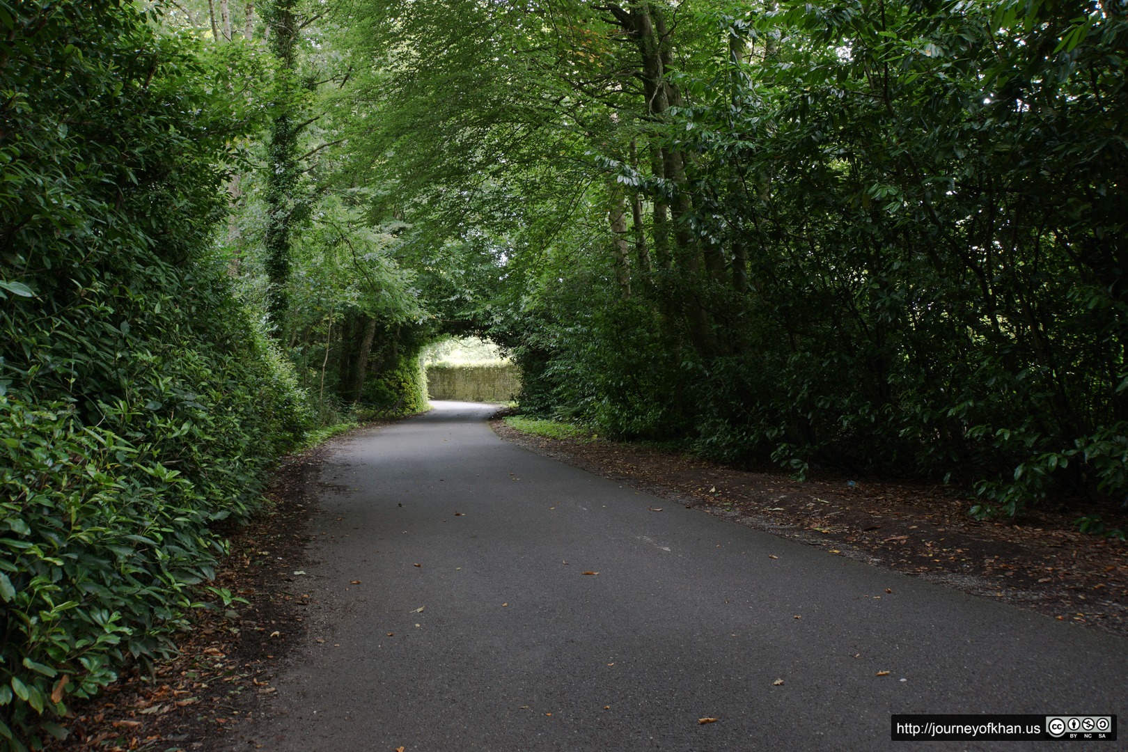 Path of Green in Fota