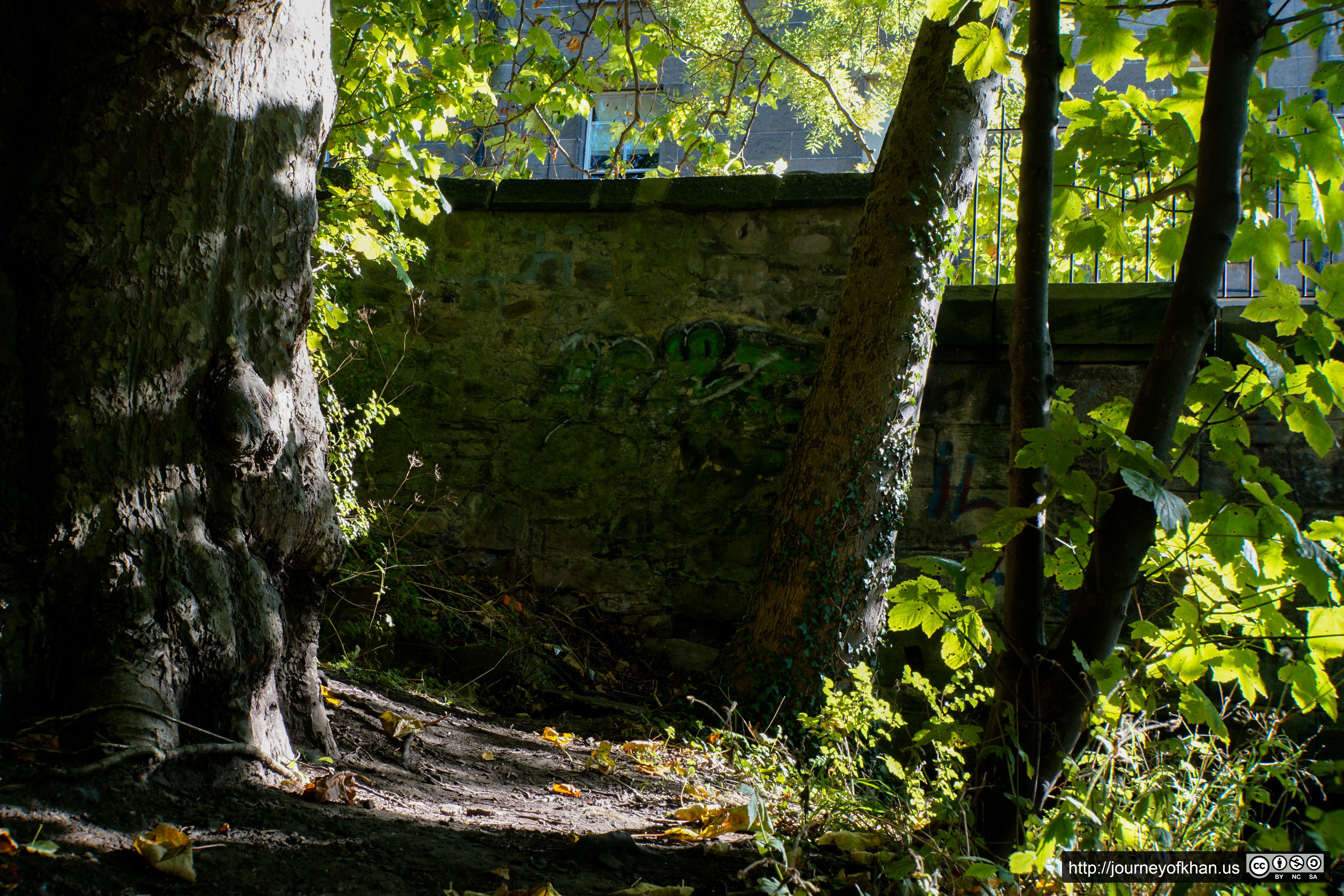 Wall Tag Between Trees (High Resolution)