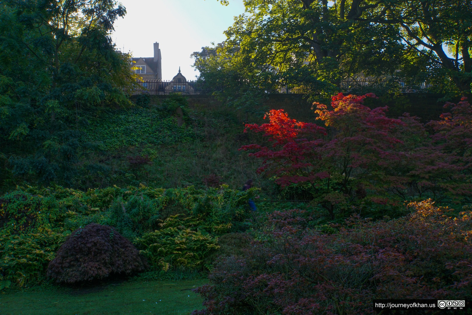 Finger of Autumn