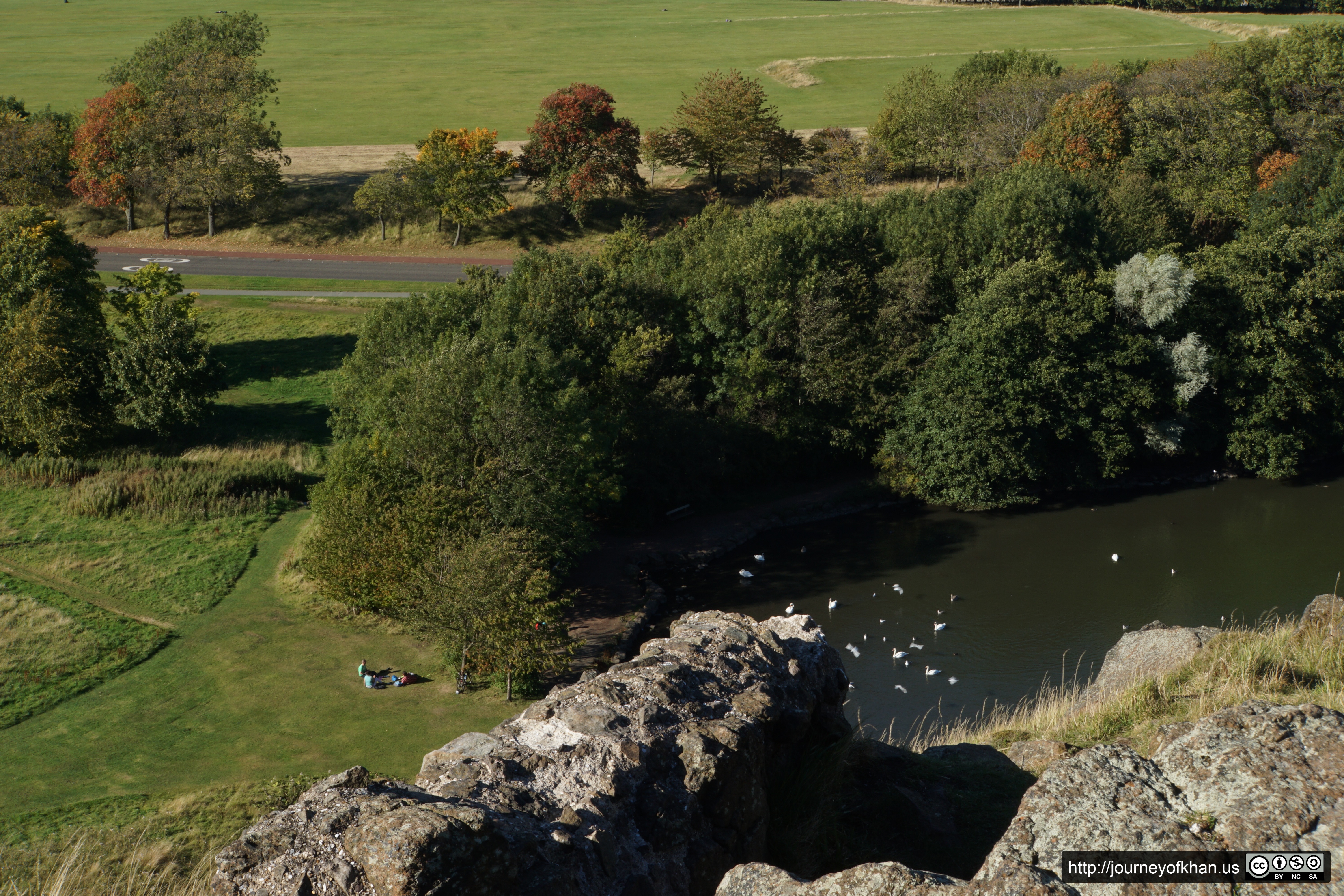 A Picnic with Swans and Ducks (High Resolution)