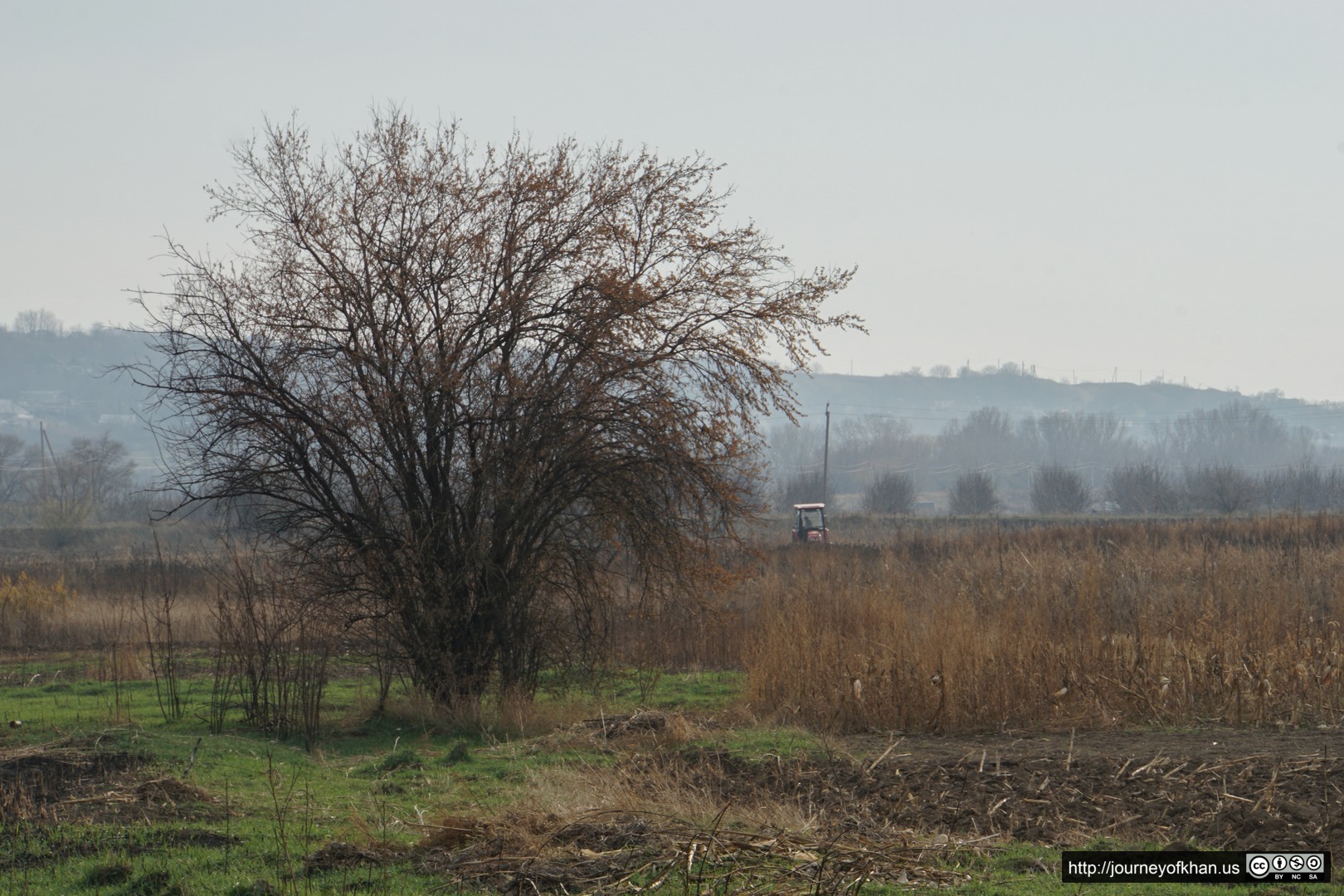 Tractor in a Farm in Criuleni