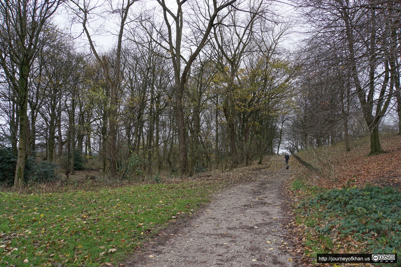 Autumn Walk with a Dog