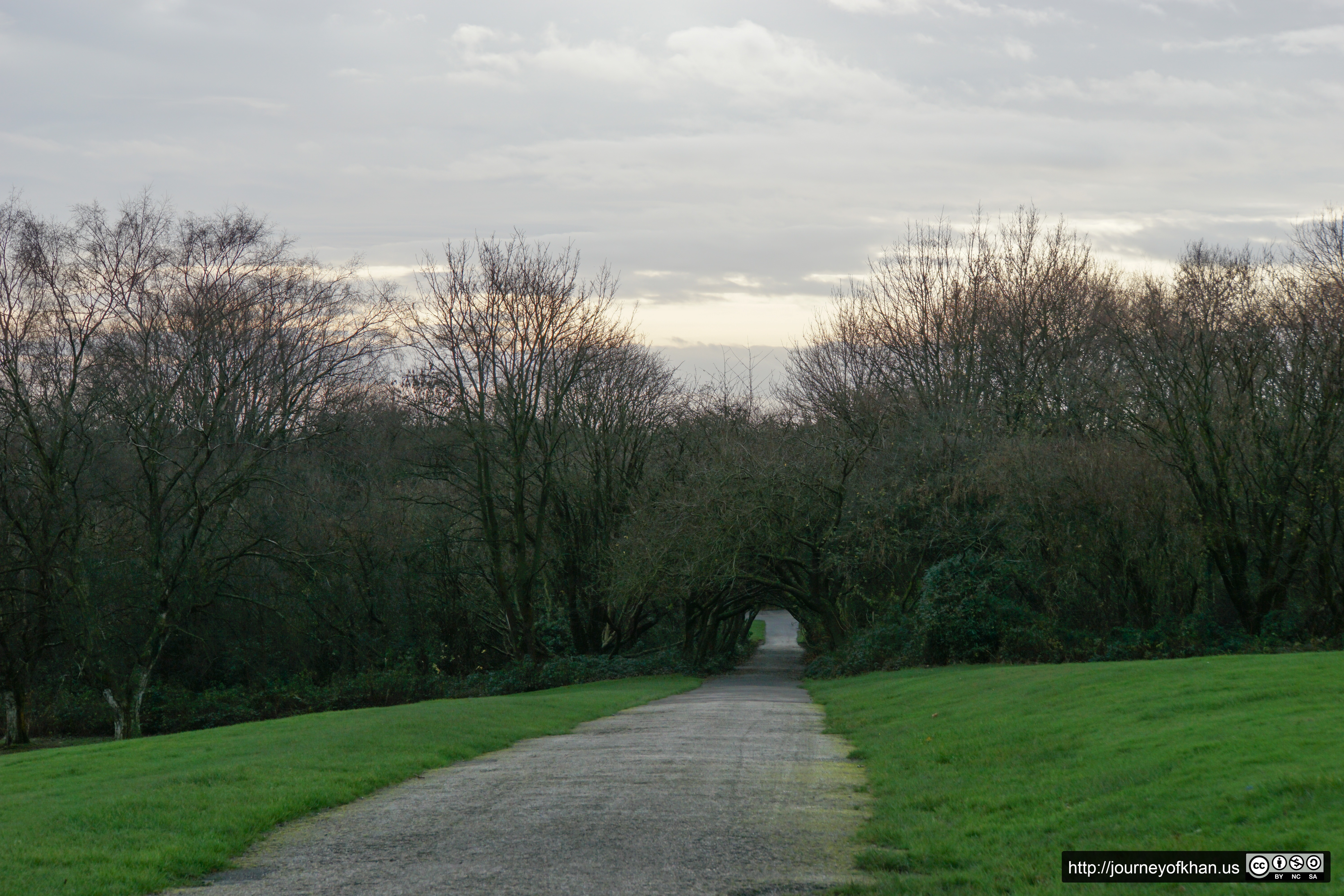 Dark Path at Sunset (High Resolution)