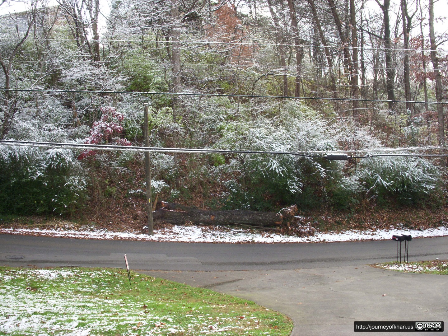 Ice storm on West Midvale Avenue